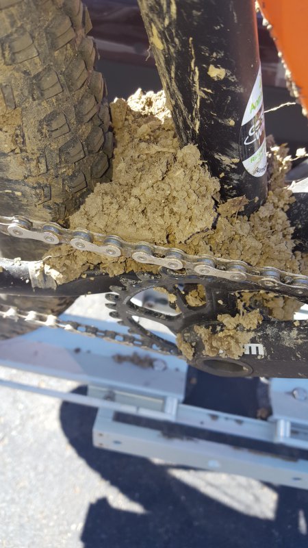 20170305_123408-jpg.48729