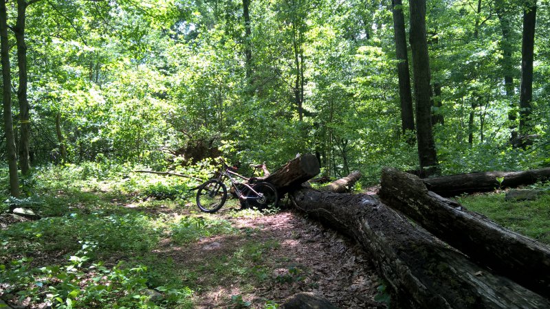 wp_20170526_14_02_18_pro-jpg.52573