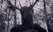 1657484918458.gif