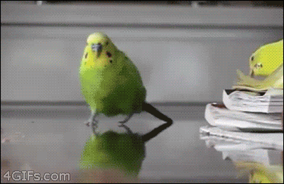 1748363812690.gif