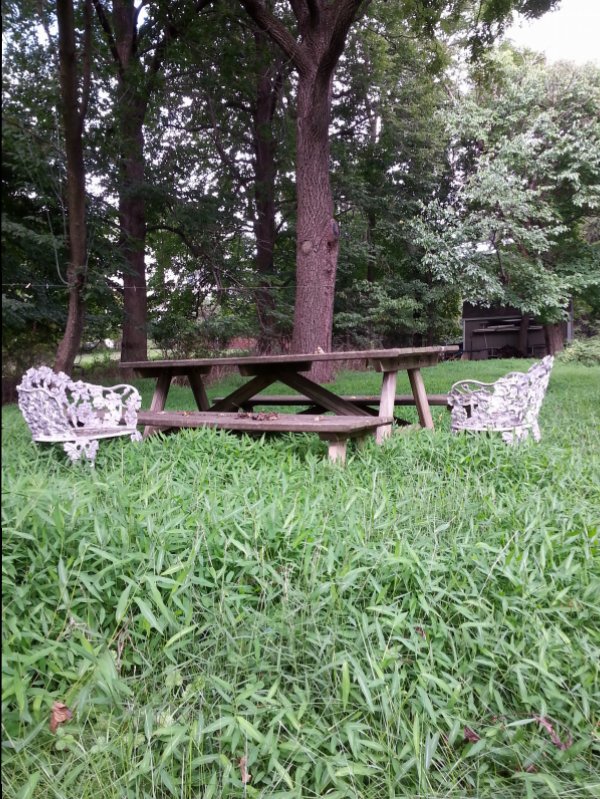 20150827_173729.jpg