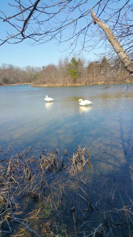 20170309_143243.jpeg
