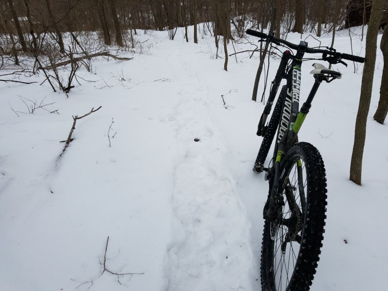 20170318_084434.jpg