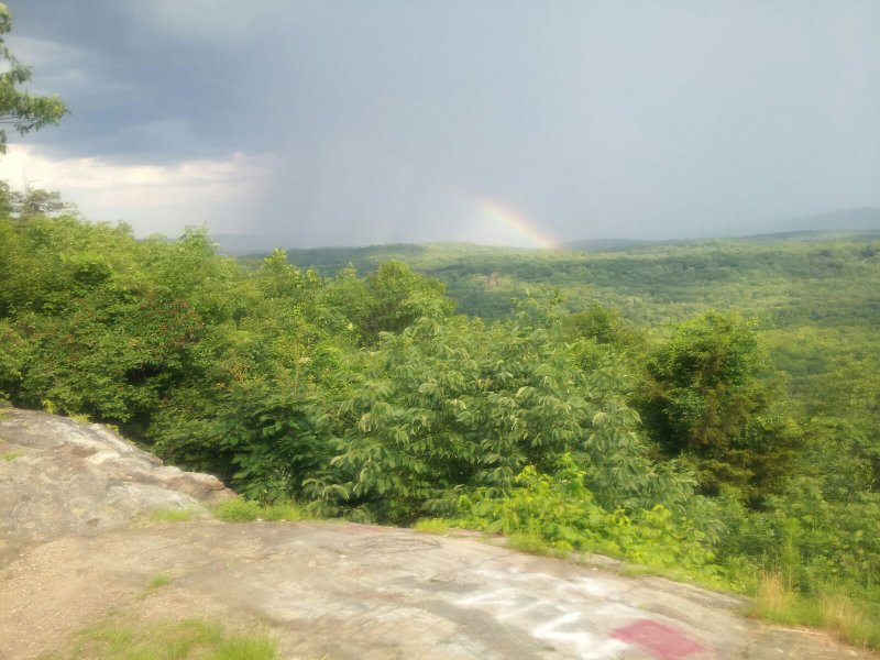 20170710_172348.jpeg
