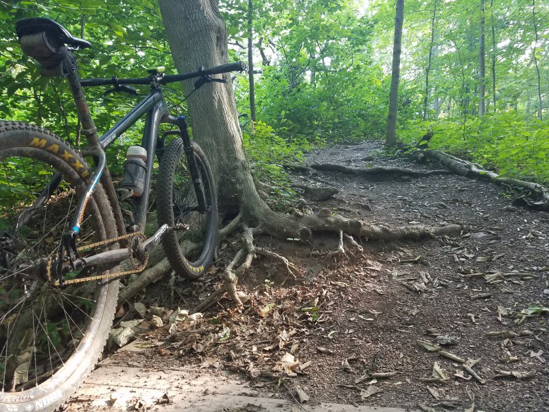 20170720_085111_001.jpg