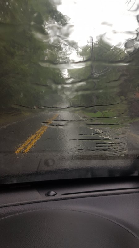 20170802_165152.jpg