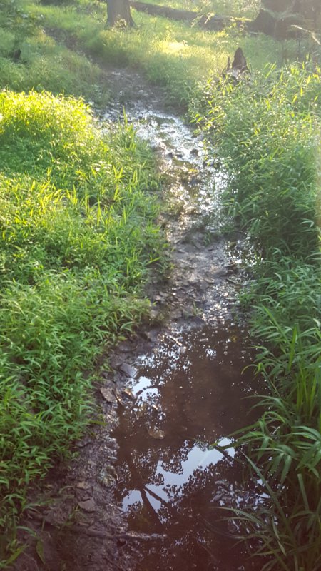 20180804_190110.jpg
