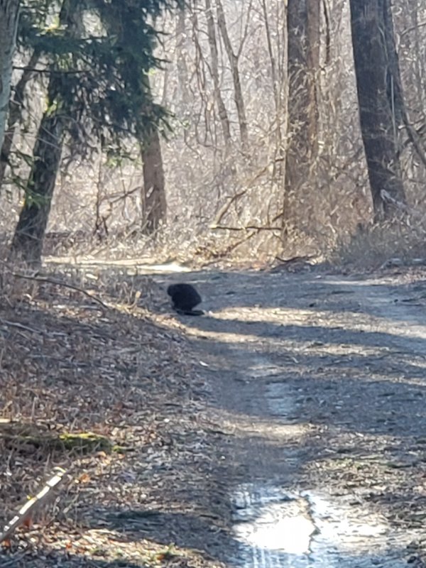 20190209_154140.jpg