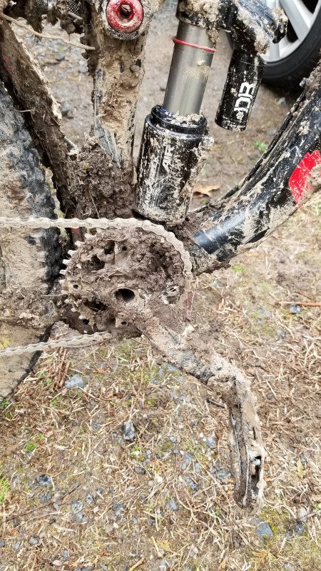 20190331_134007.jpg