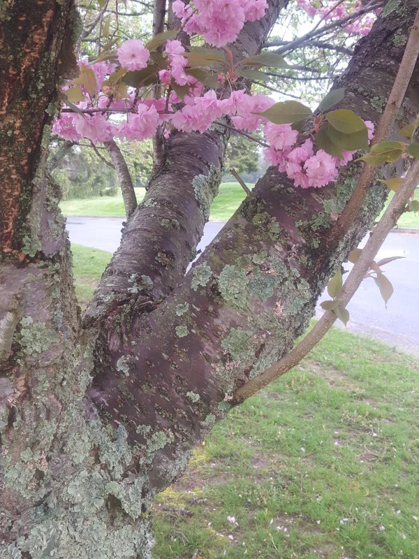 20190426_084504.jpg