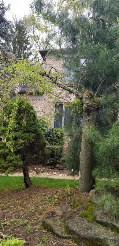 20190426_100601.jpg