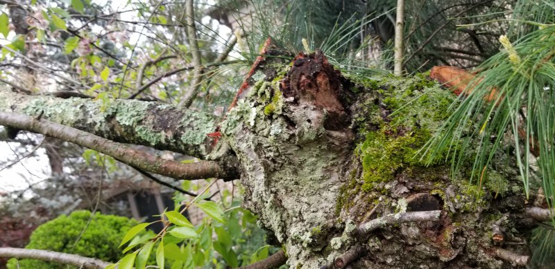 20190426_100613.jpg