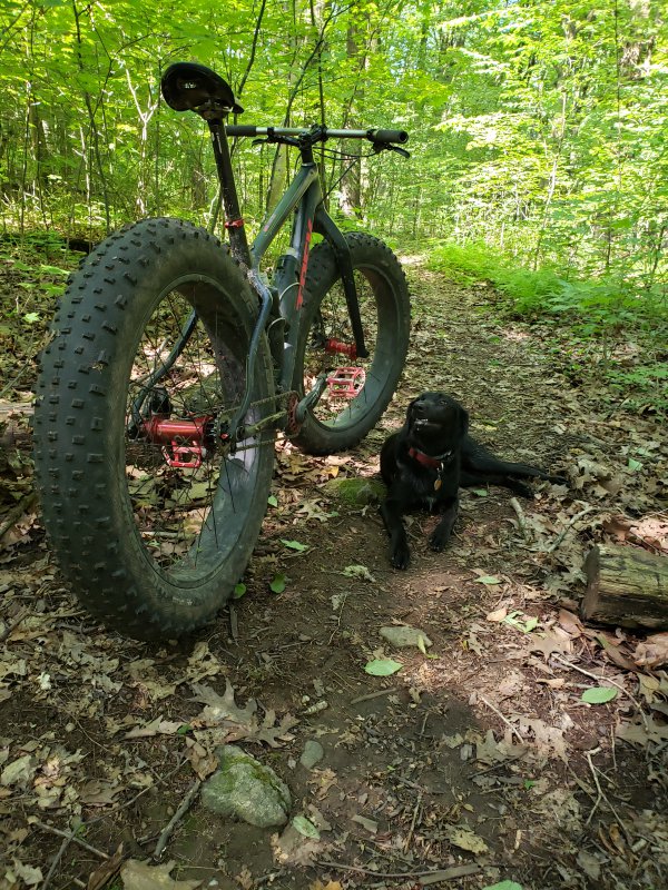 20190622_095712.jpg