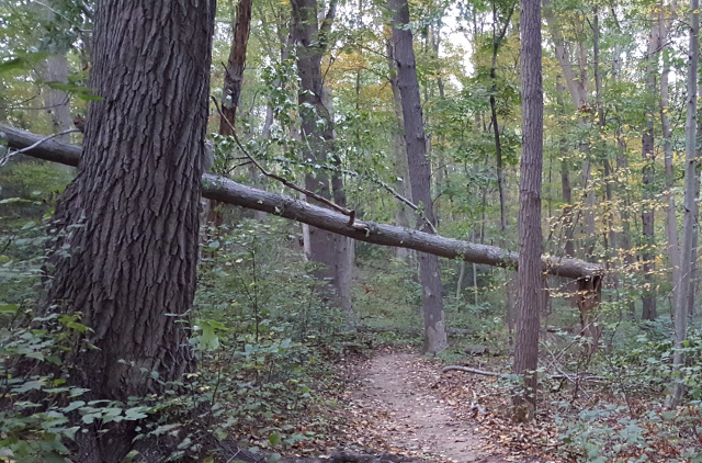 20191019_175535.jpg