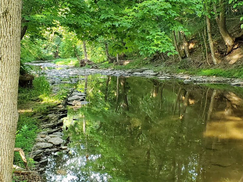 20200615_183919.jpg
