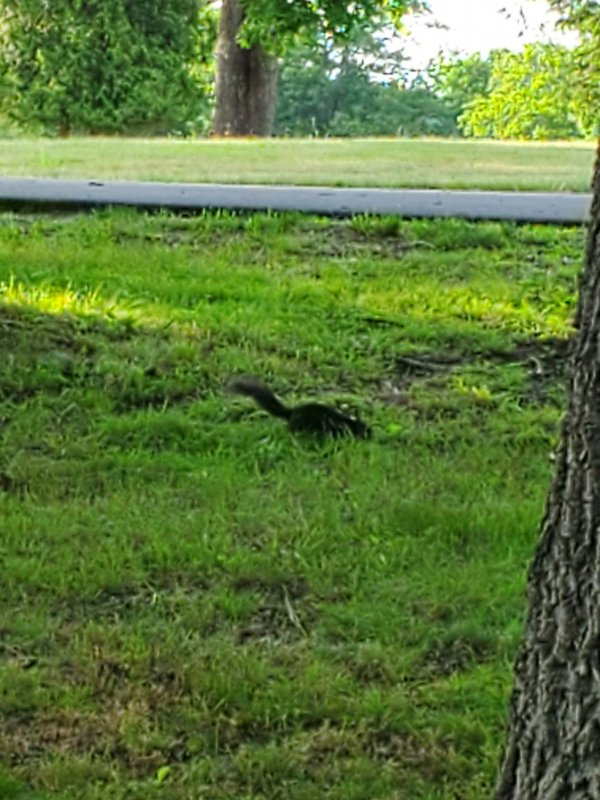 20200615_184631.jpg