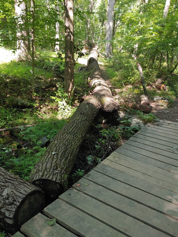 20200810_105938.jpg