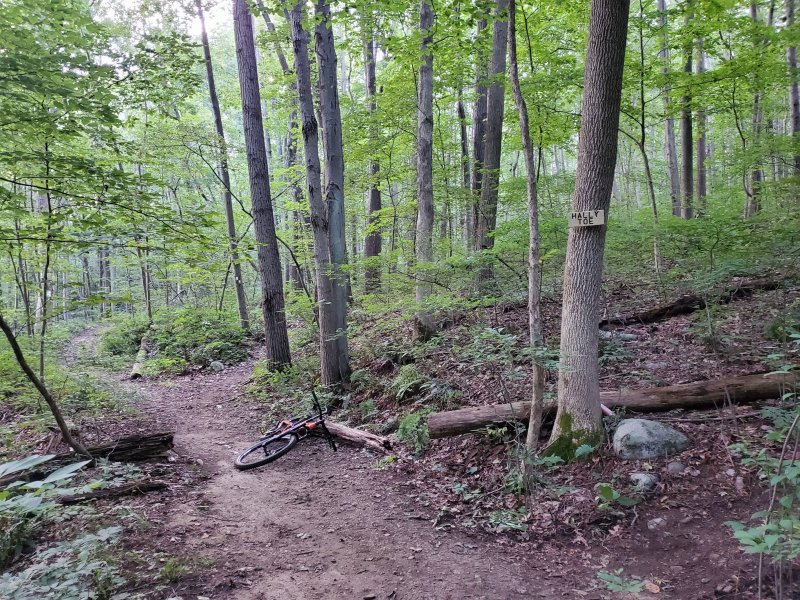 20200813_070233.jpg
