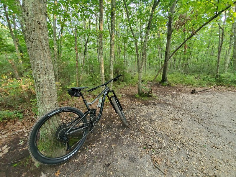 20200817_183850.jpg