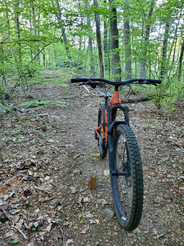 20210519_065355.jpg