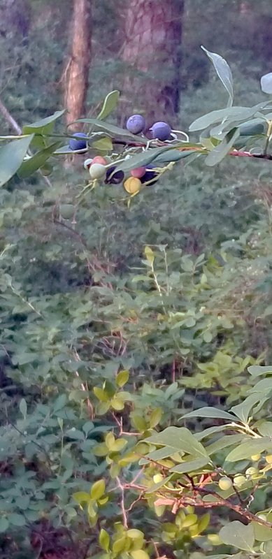 20210707_190532.jpg