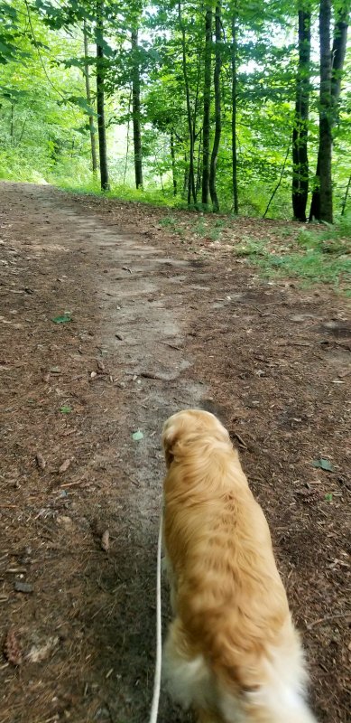 20210801_071159.jpg