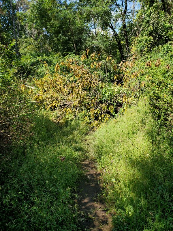 20210910_112159.jpg