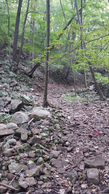 20210914_122904.jpg