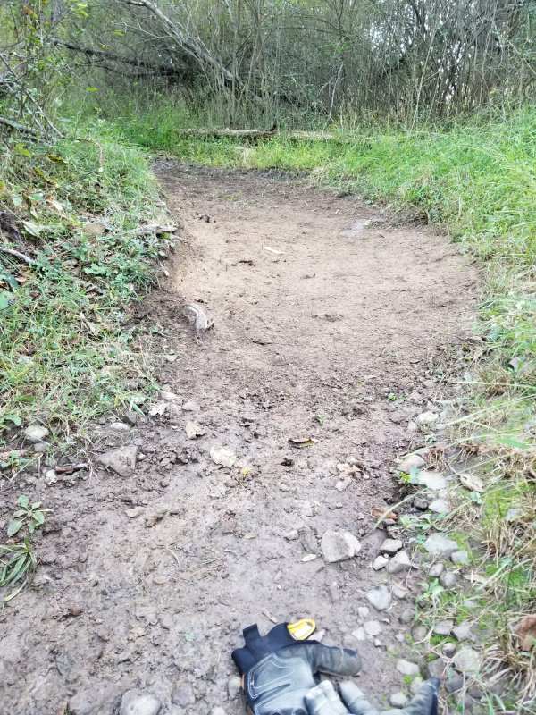 20210924_170715.jpg