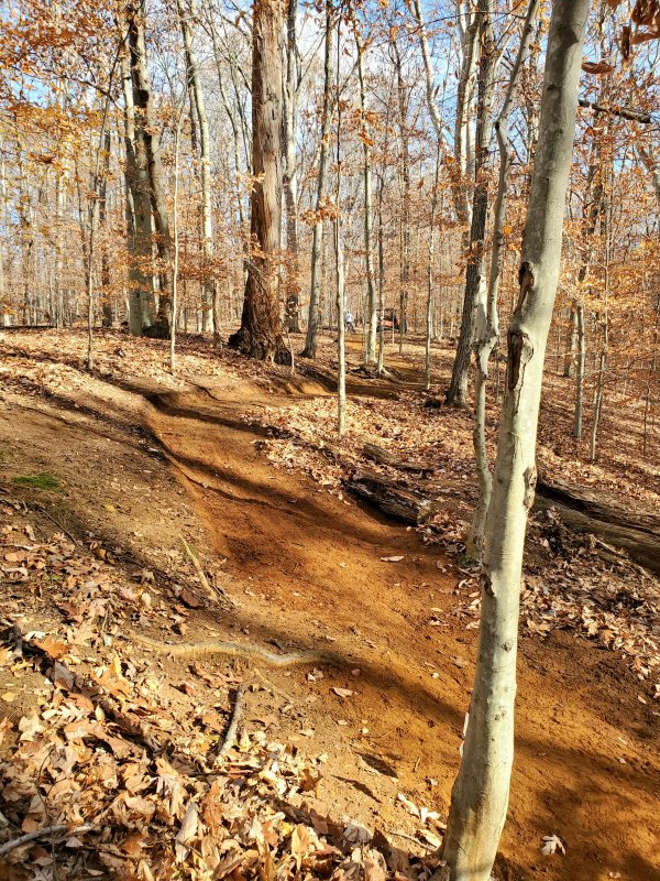 20211203_121750.jpg