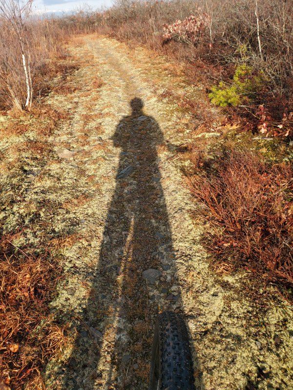 20211231_092931.jpg