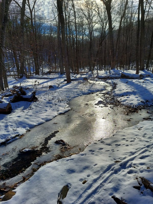 20220121_142031.jpg