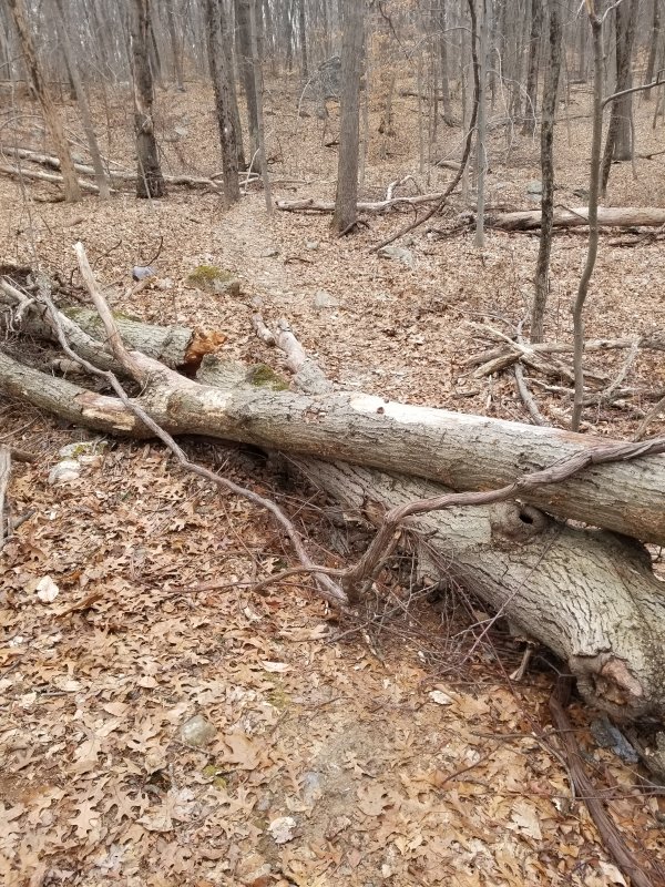 20220219_105309.jpg