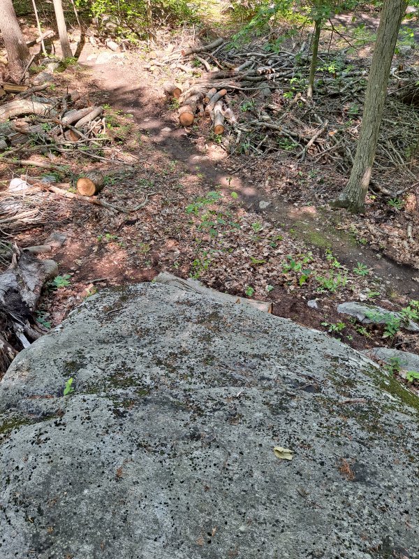 20220604_103617.jpg