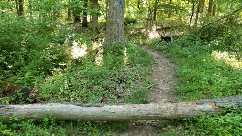 20220605_081210.jpg