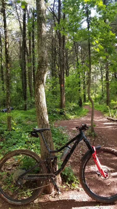 20220618_084056.jpg