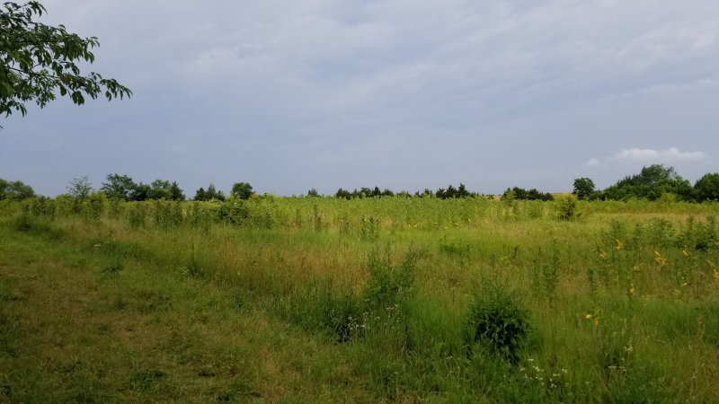 20220702_075152.jpg