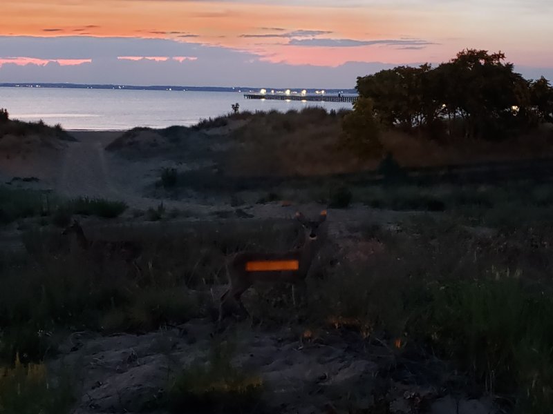 20220713_210129.jpg