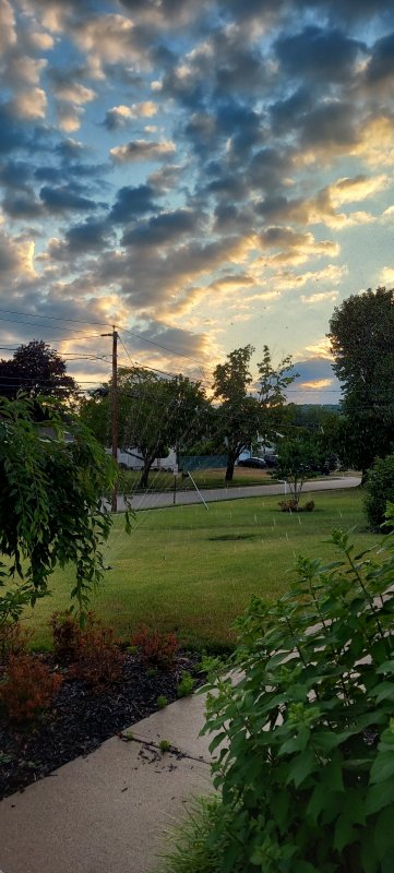 20220722_061632.jpg