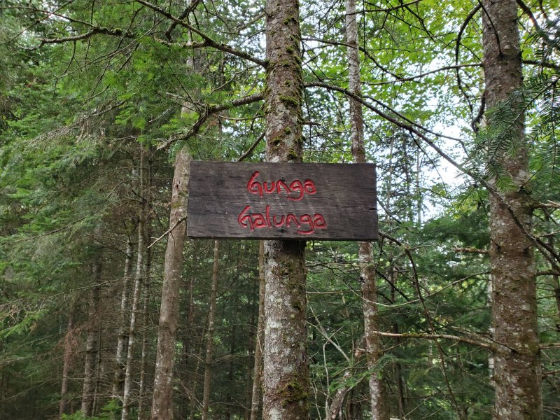 20220724_075343.jpg