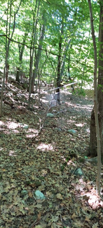 20220803_113409.jpg