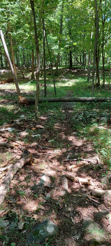 20220803_114941.jpg