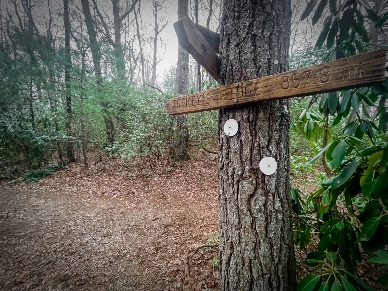 20230316-190145-HDR.jpg