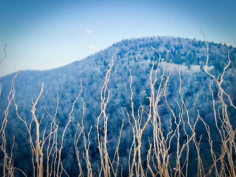 20230323-183644-HDR.jpg