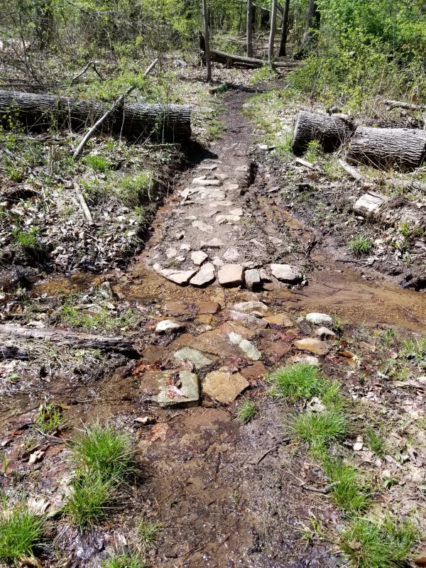 20230423_114035.jpg
