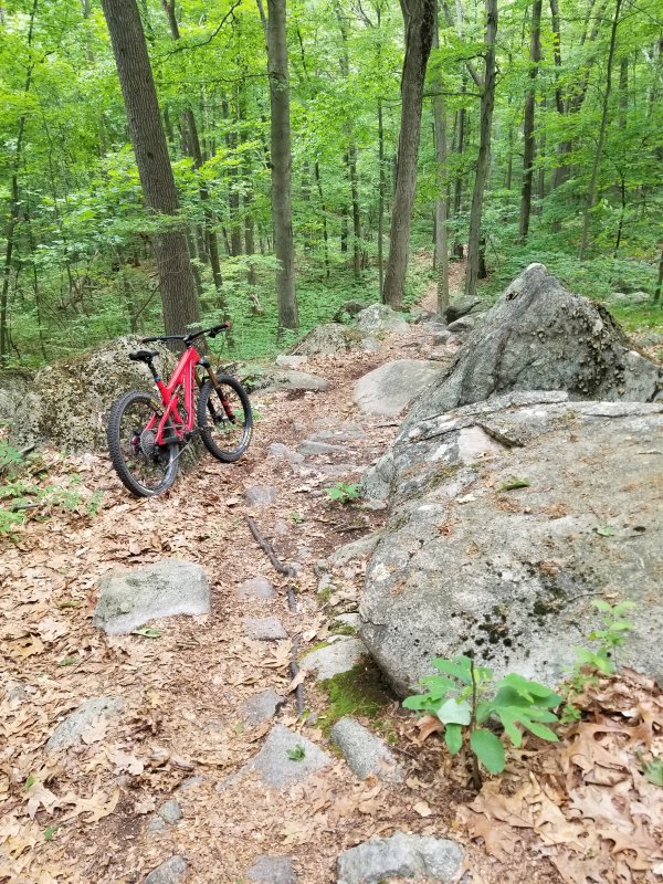 20230618_134529.jpg