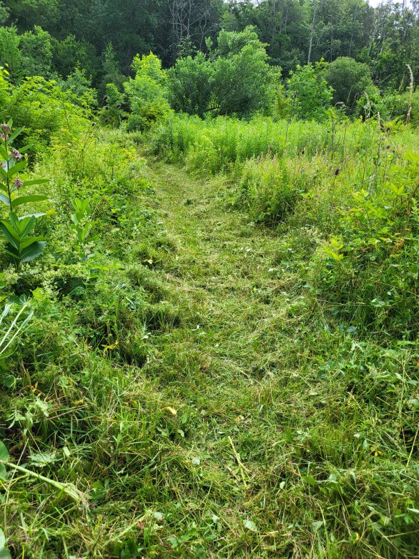 20230708_113433.jpg