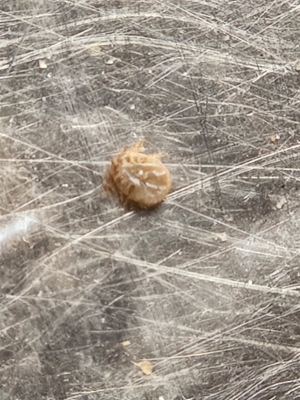 20230717_202413.jpg
