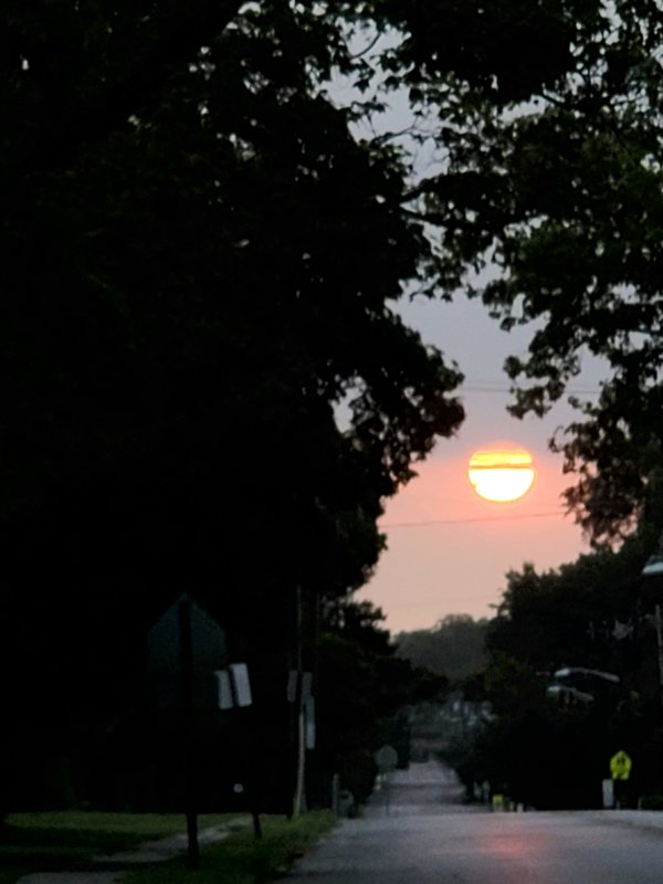 20230729_061258.jpg