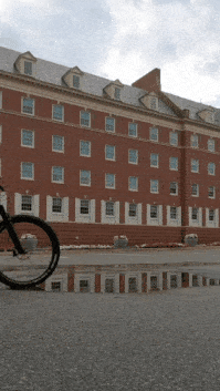 20230729_111224.gif